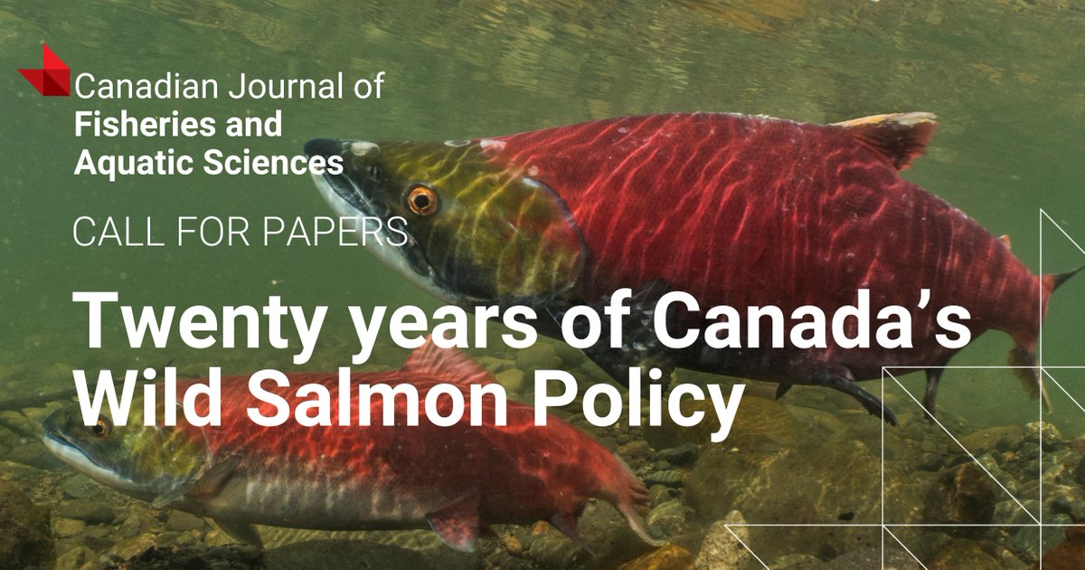 📣 <a href="/cjfas/">Canadian Journal of Fisheries and Aquatic Sciences</a> is seeking papers on the past and future of Canada’s Wild Salmon Policy. For details &amp; deadlines: ow.ly/OLar50SyjaQ

<a href="/scas_scsa/">Society of Canadian Aquatic Sciences</a>
📸 <a href="/SkeenaWild/">SkeenaWild</a>