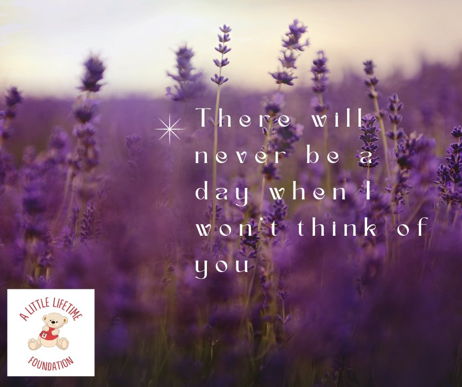 A Little Lifetime (@alittlelifetime) on Twitter photo 
