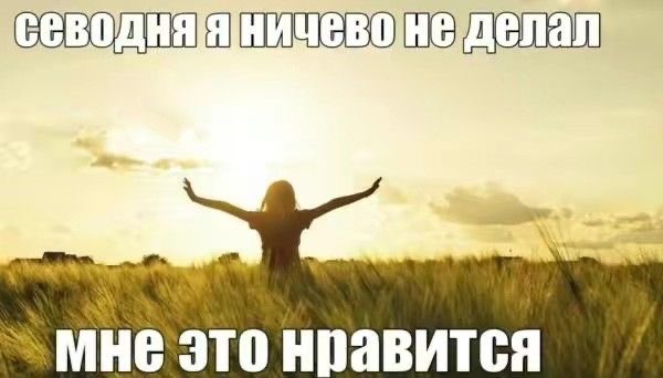 сончи !! tweet media