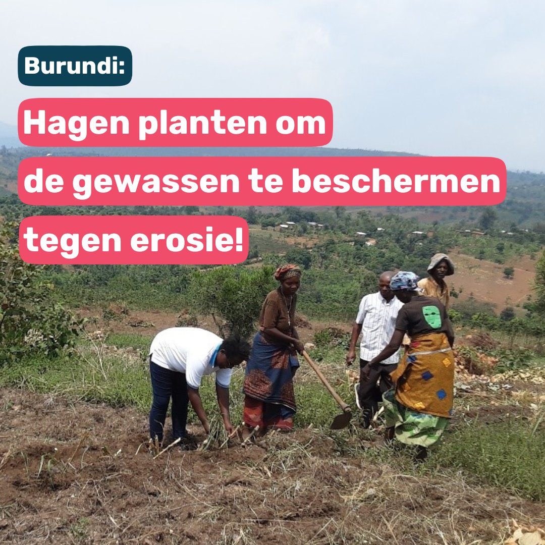 SOS Kinderdorpen BE tweet media