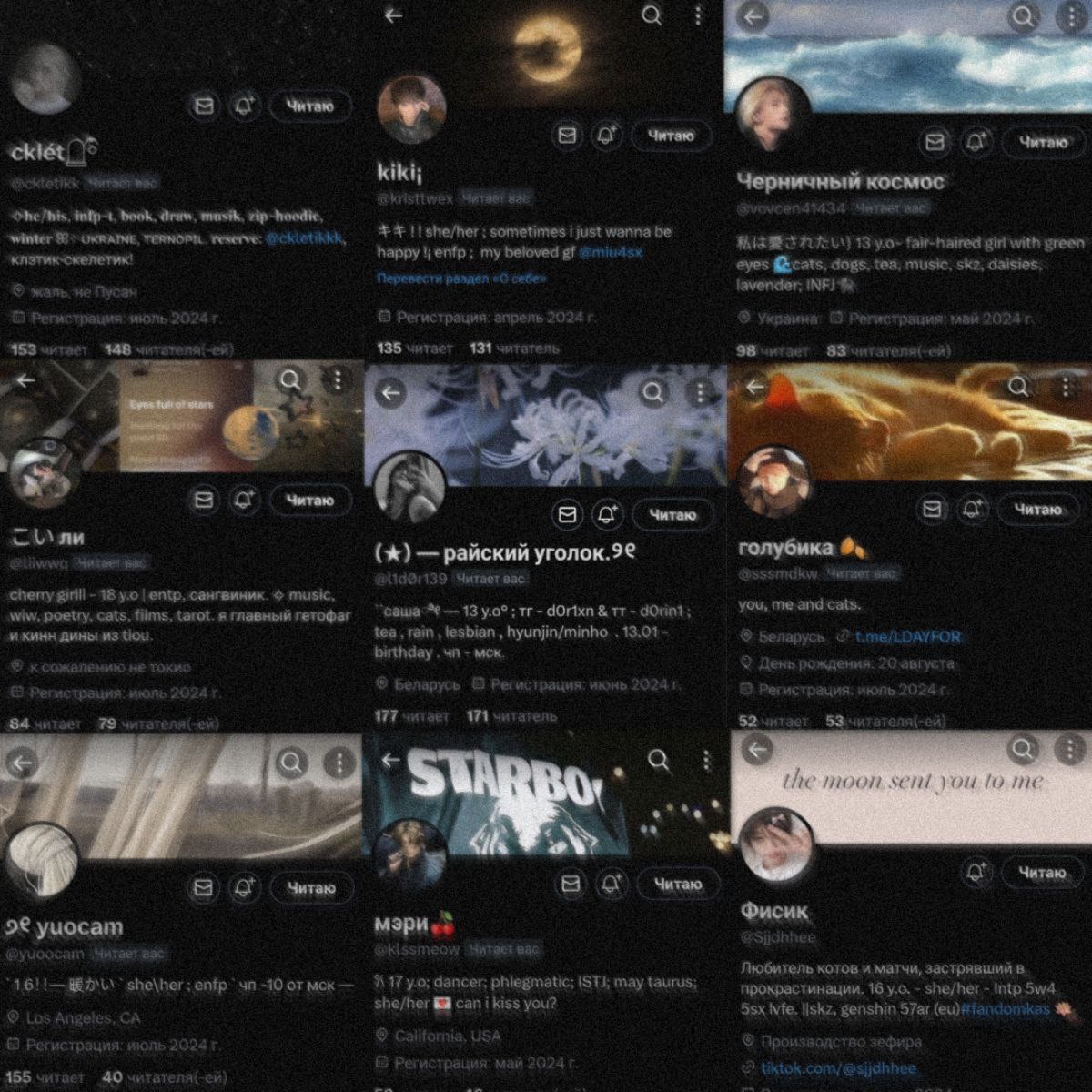 meowkii tweet media
