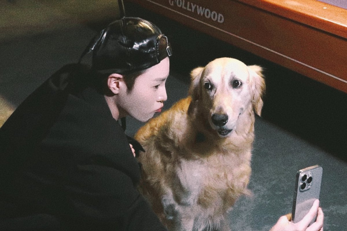 성운에이드 tweet media