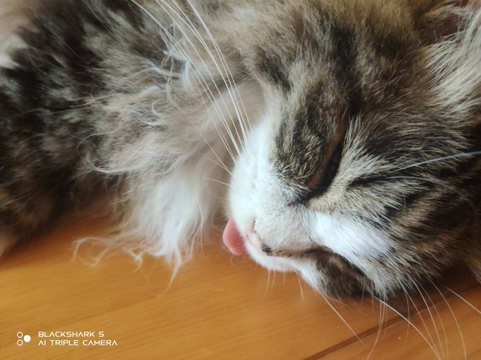 仿¥ãããåºã¡ãã£ãŠããã