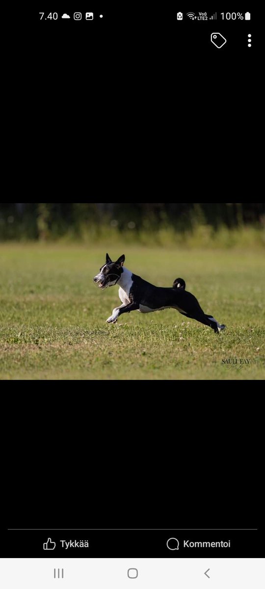 Anna Granbom tweet media