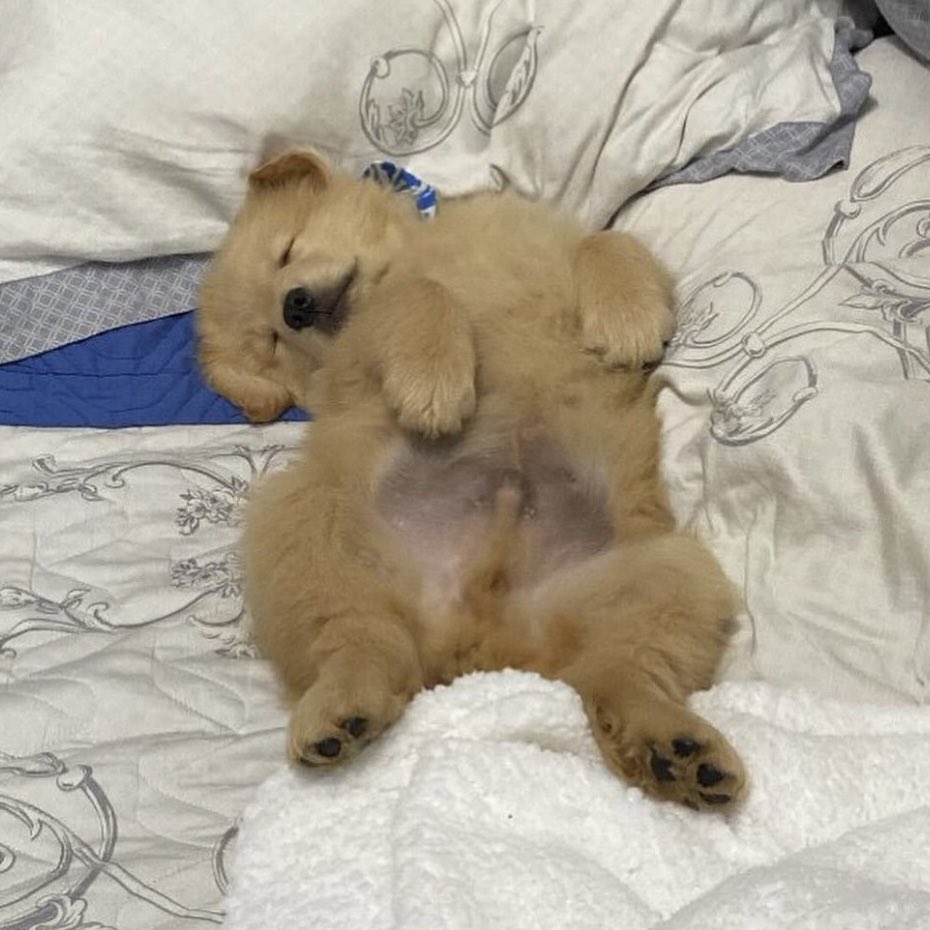 เบบี๋ทำงานหนักจัง นอนดีกว่า ไม่อยากเห้น