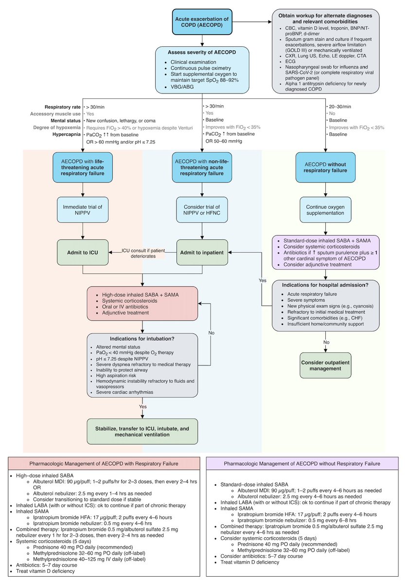 ManualOMedicine's tweet image. Algorithm for Management of Acute Exacerbation of COPD

#medtwitter #foamed #usmle