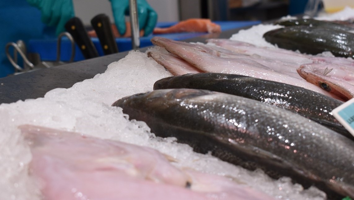 gremipeixaters's tweet image. 📌 Campanya per a sol·licitar el suport social en defensa del dret a una alimentació saludable.

gremipeixaters.cat/campanya-per-a…

#fedepesca #campanyapuntdevenda #sompeixaters #gremipeixaters #gremipeixaterscatalunya