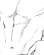 書き直し…ヒィ 