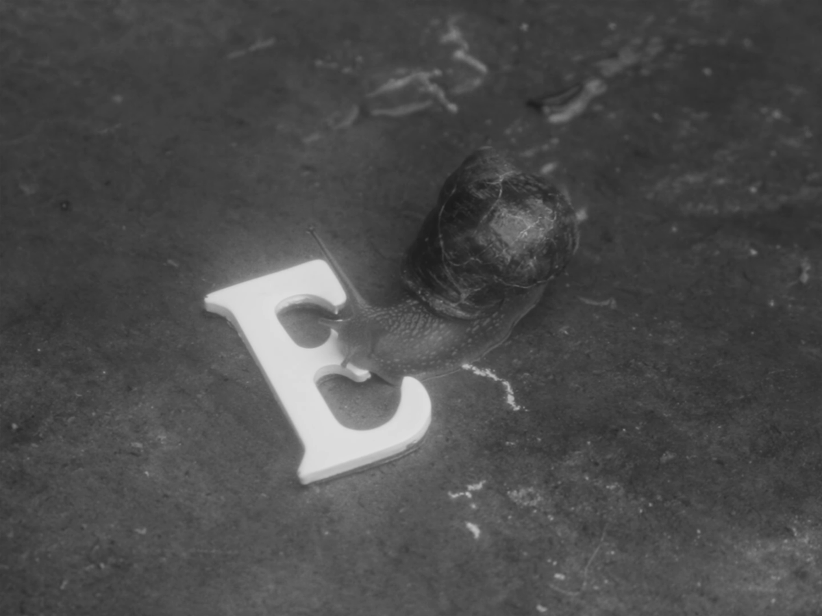toomuchistrue's tweet photo. LETTERS TO THE POSTMAN (Felix Dembinski, 2022) https://t.co/GE6sGh40UN