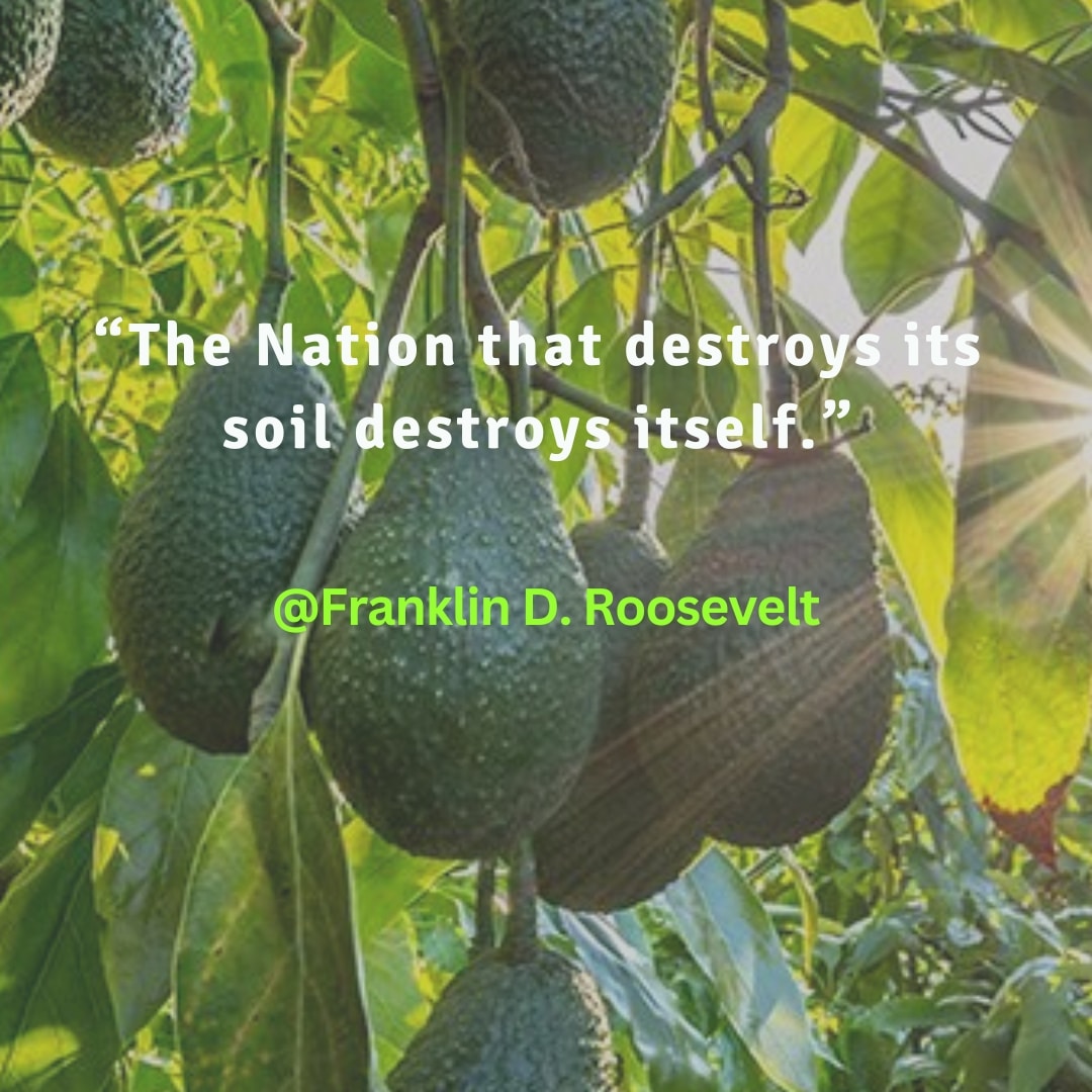 KingWobil's tweet image. Protect your soil no matter the condition it is in 🤝

#agridirectgh #soils #soilprotection #environment #ClimateAction #farmers #foodsecurity #SalesThursday