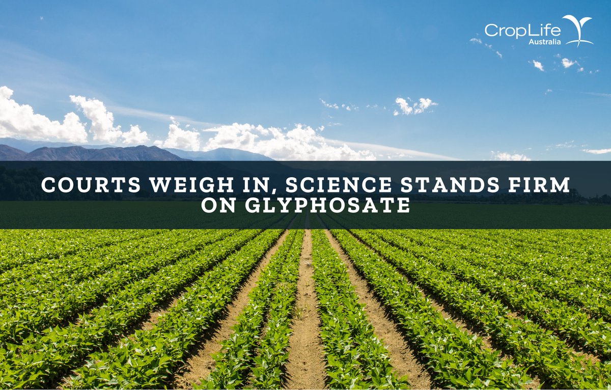 CropLife acknowledges the decision of the Federal Court of Australia which is in line with every scientific regulatory authority on the planet - glyphosate is safe to use in accordance with the label and is not carcinogenic. Read CropLife’s media release: ow.ly/jzGj50SJNsG