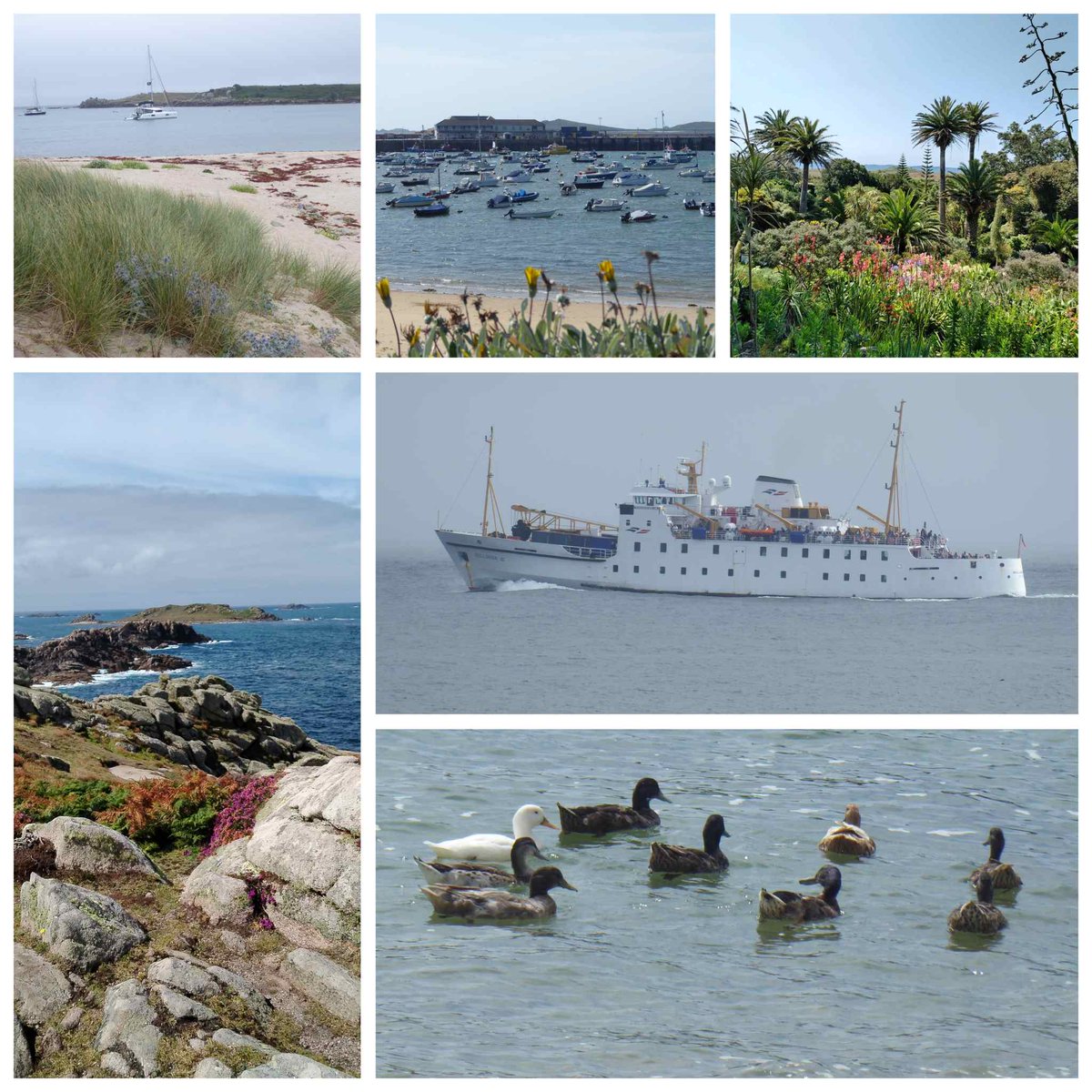 GraemeEdwards1's tweet photo. A big thank you to @TheFriendMag for publishing my short summer story 'A Scilly Adventure,' wonderfully illustrated by Andre Leonard https://t.co/Q2VuUcKnnt