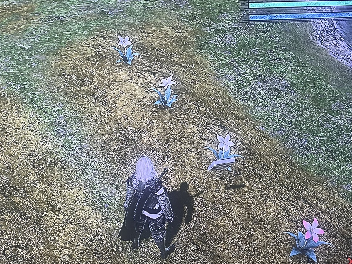 CMRetroGaming's tweet photo. Got that Platinum on Nier Replicant. Trying to grow that white moonflower was a process. But the work is done. https://t.co/qOSbOjKdJL
