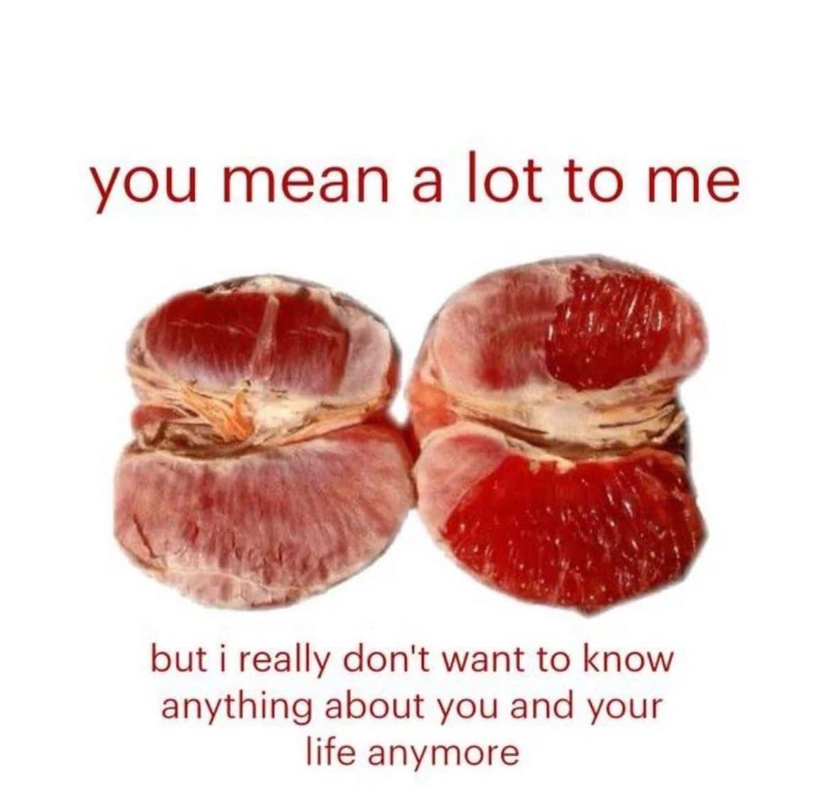 poeclipse's tweet image. 