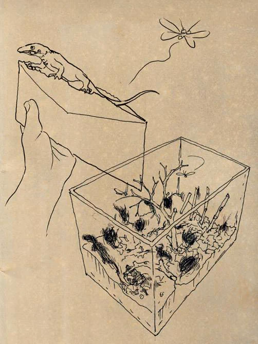 夢日記「生き物のプレゼント」2012/12/18
https://t.co/uuIAVQKrle 