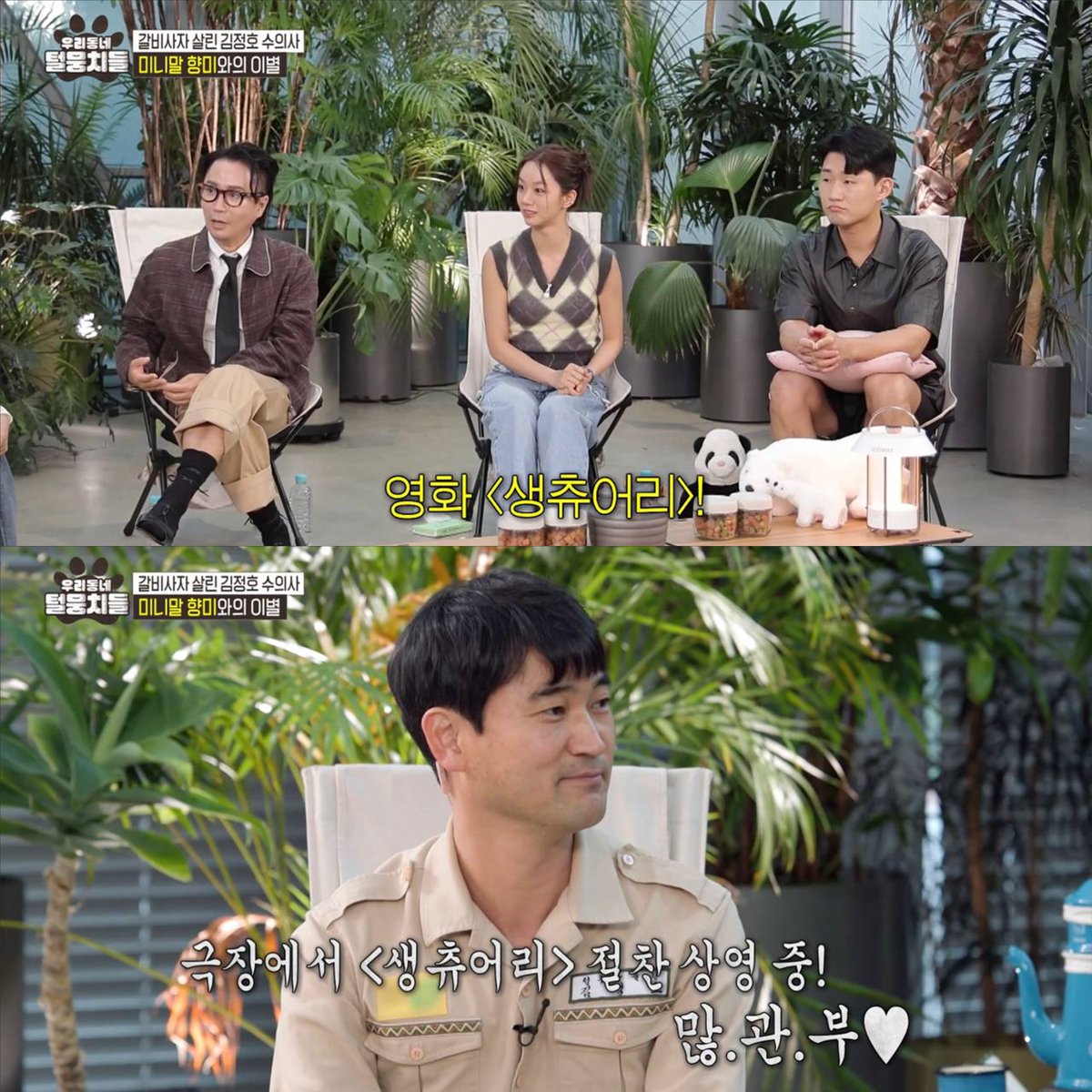 <생츄어리> 김정호 수의사 X 우리동네 털뭉치들 영화 <동물, 원>과 <생츄어리>의 주인공인 #청주동물원 #김정호수의사 님이 [우리동네 털뭉치들]...