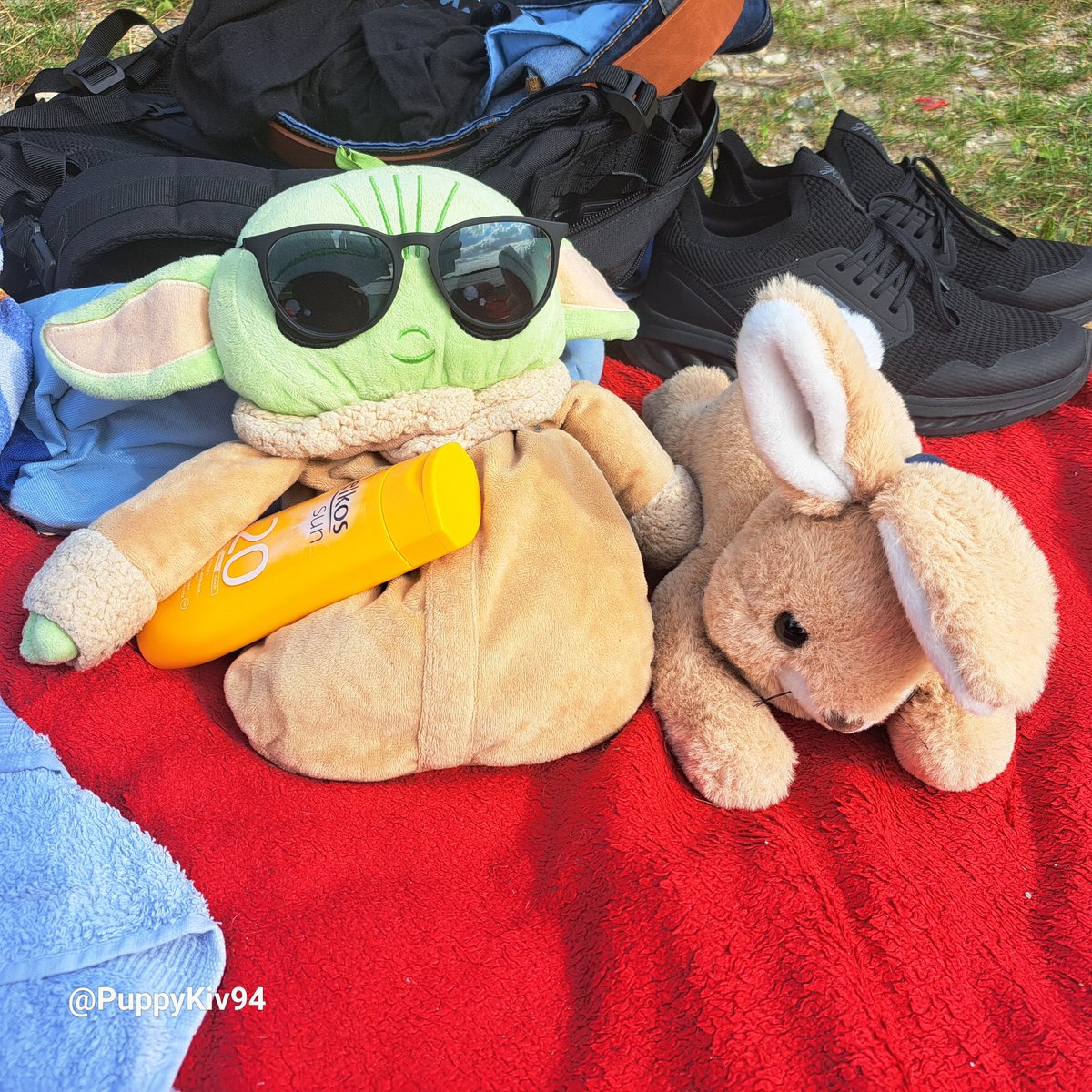 Wünsche euch allen einen schönen Donnerstag 🐶🐾🏊‍♂️🫂

Wish you all a nice Thursday 🐶🐾🏊‍♂️ 🫂