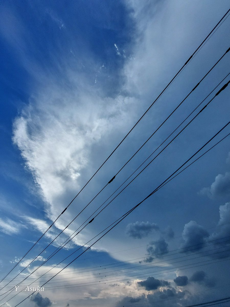 yumeasutw's tweet photo. 西の空で発達する #積乱雲 ⛈️
#かなとこ雲 がぐんぐん広がり
頭上まで裾をのばしています。
幅広い #雨柱 ⛈️
#イマソラ #いまそら
#空の名前
#天気の図鑑 #雲の超図鑑
#巻雲 #高積雲 #積雲
#空 #sky #空が好き #空が好きな人と繋がりたい
#雲 #cloud #空と雲 #雲が好き
#a2024 #a0725 #a202407 https://t.co/lZTw3Ua1yh