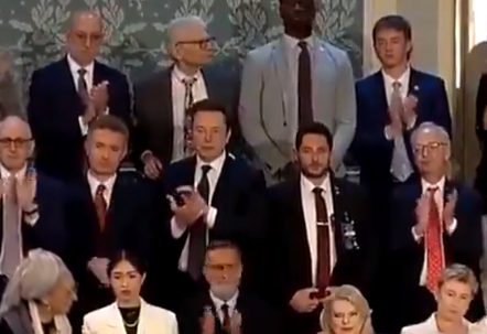Gaza_Psych's tweet photo. It wasn't me who called @elonmusk a 'bootlicking bitch' 
Why am I losing followers and not getting views or notifications. 

Reply et Retweet. S’il vous plaît https://t.co/ApLrNzfoZw