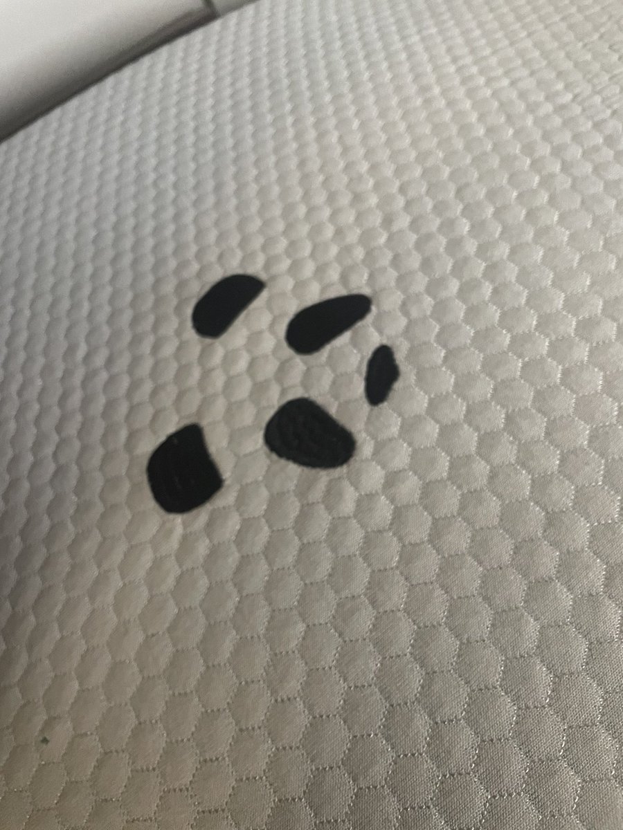 Elizabeth Smith tweet media