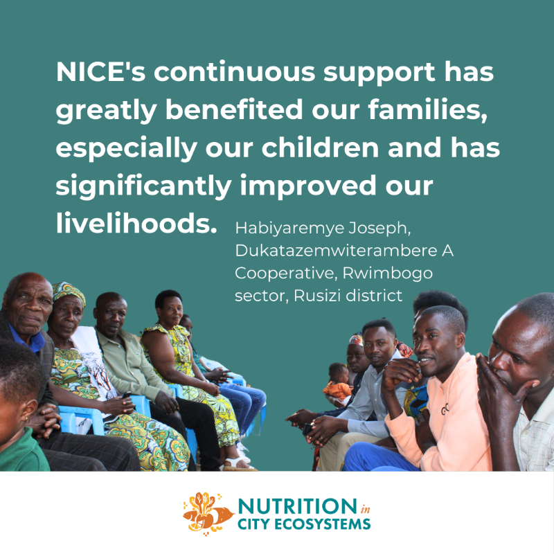 SightandLife's tweet photo. We're proud of the #NiceNutrition* project's success for #PoultryFarming in Rwanda!🇷🇼

Farmers receive training and assistance for #sustainable poultry farming, a monthly stipend, access to healthcare, and access to nutritious eggs.🐓🥚

#UrbanNutrition #FoodSecurity #FoodSystems