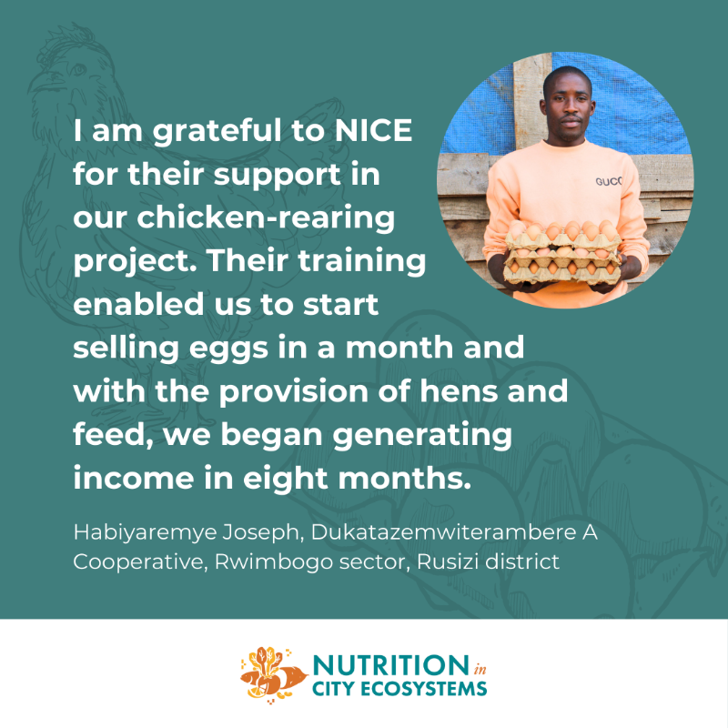 SightandLife's tweet photo. We're proud of the #NiceNutrition* project's success for #PoultryFarming in Rwanda!🇷🇼

Farmers receive training and assistance for #sustainable poultry farming, a monthly stipend, access to healthcare, and access to nutritious eggs.🐓🥚

#UrbanNutrition #FoodSecurity #FoodSystems