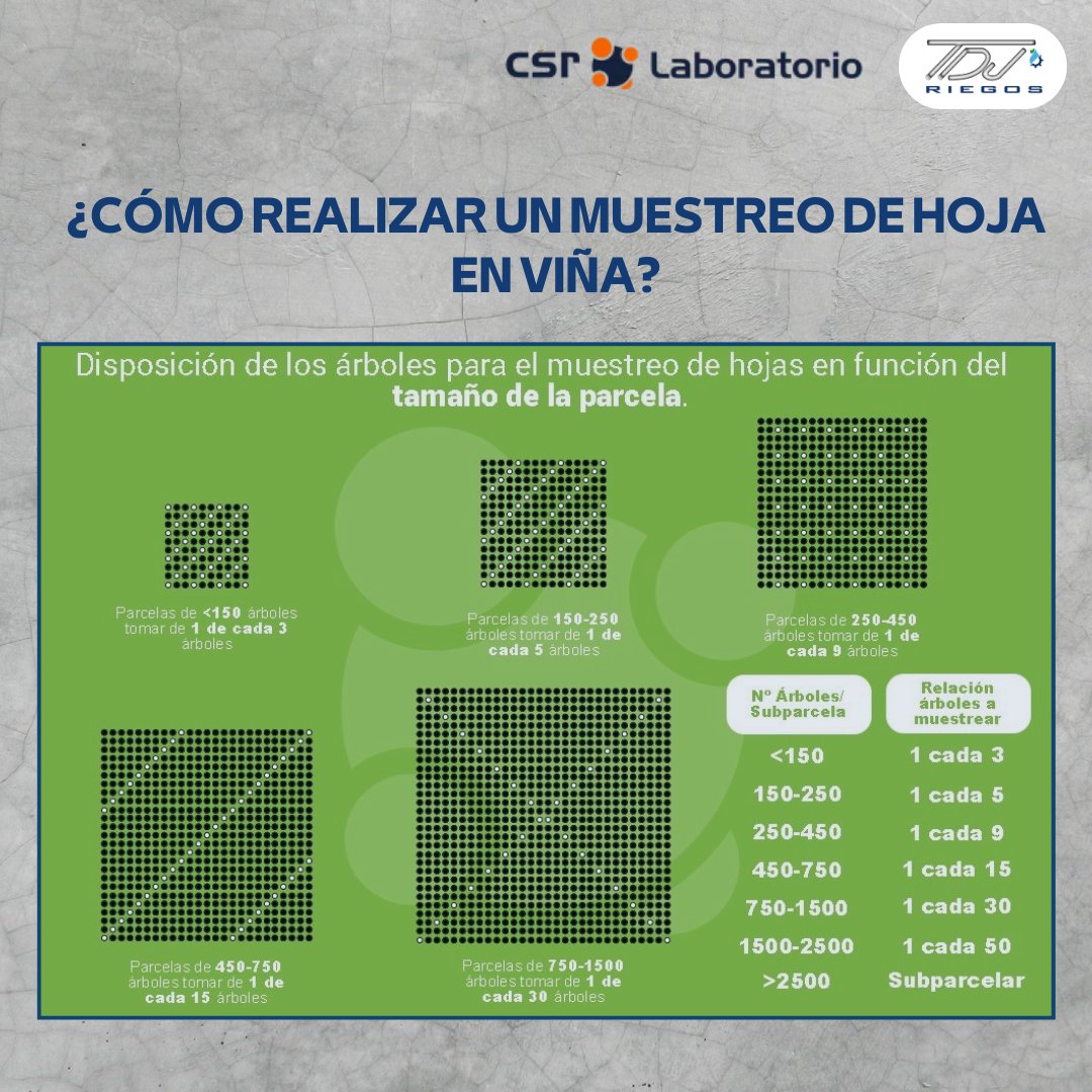 RiegosTdj's tweet photo. ¿Cómo realizar un análisis foliar en viña?

En estas imágenes encontrarás cómo realizar un análisis foliar en viña. En estas fechas te debes fijar en el periodo de envero. Si tienes alguna duda, pregúntanos 📲 https://t.co/Q27X43eTmf