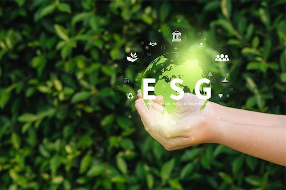 ellui_official's tweet photo. When you see what Ellui is doing, you might think the "E" in #Ellui stands for "Environmental." 🌿

#Web3 #Blockchain #Greentech #ESG #ETF https://t.co/Ojcydo0bqd