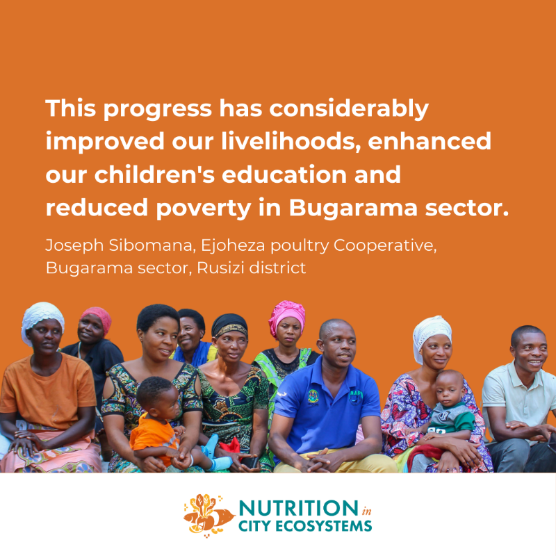 SightandLife's tweet photo. We're proud of the #NiceNutrition* project's success for #PoultryFarming in Rwanda!🇷🇼

Farmers receive training and assistance for #sustainable poultry farming, a monthly stipend, access to healthcare, and access to nutritious eggs.🐓🥚

#UrbanNutrition #FoodSecurity #FoodSystems