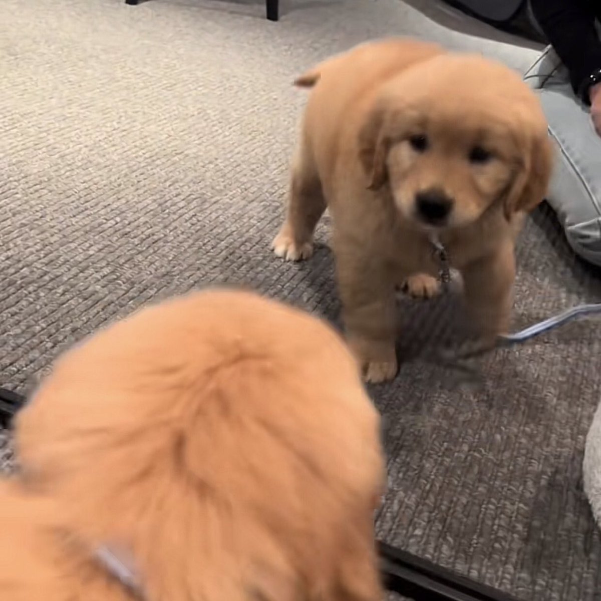 เหย ไอ้อ้วรนั่นคัย 😡