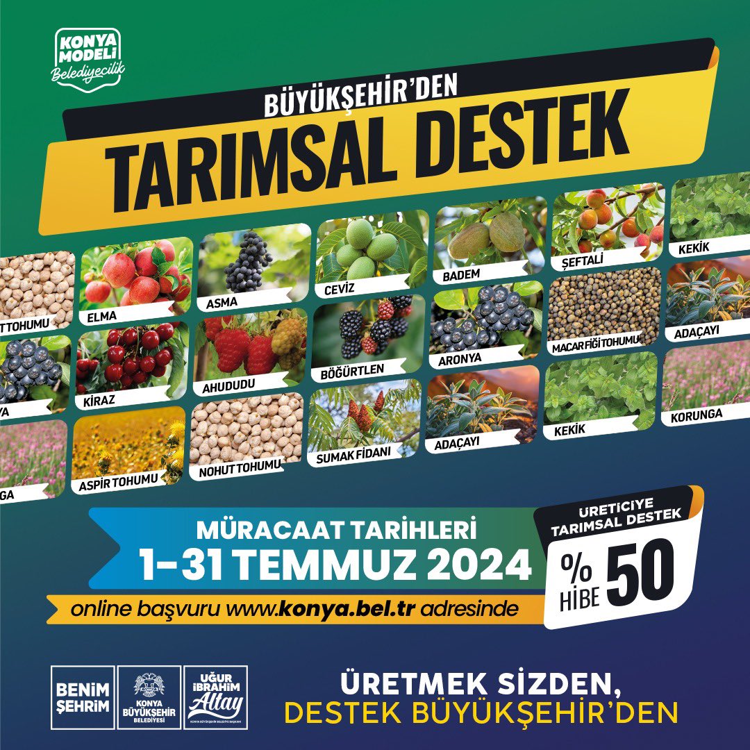 Resim