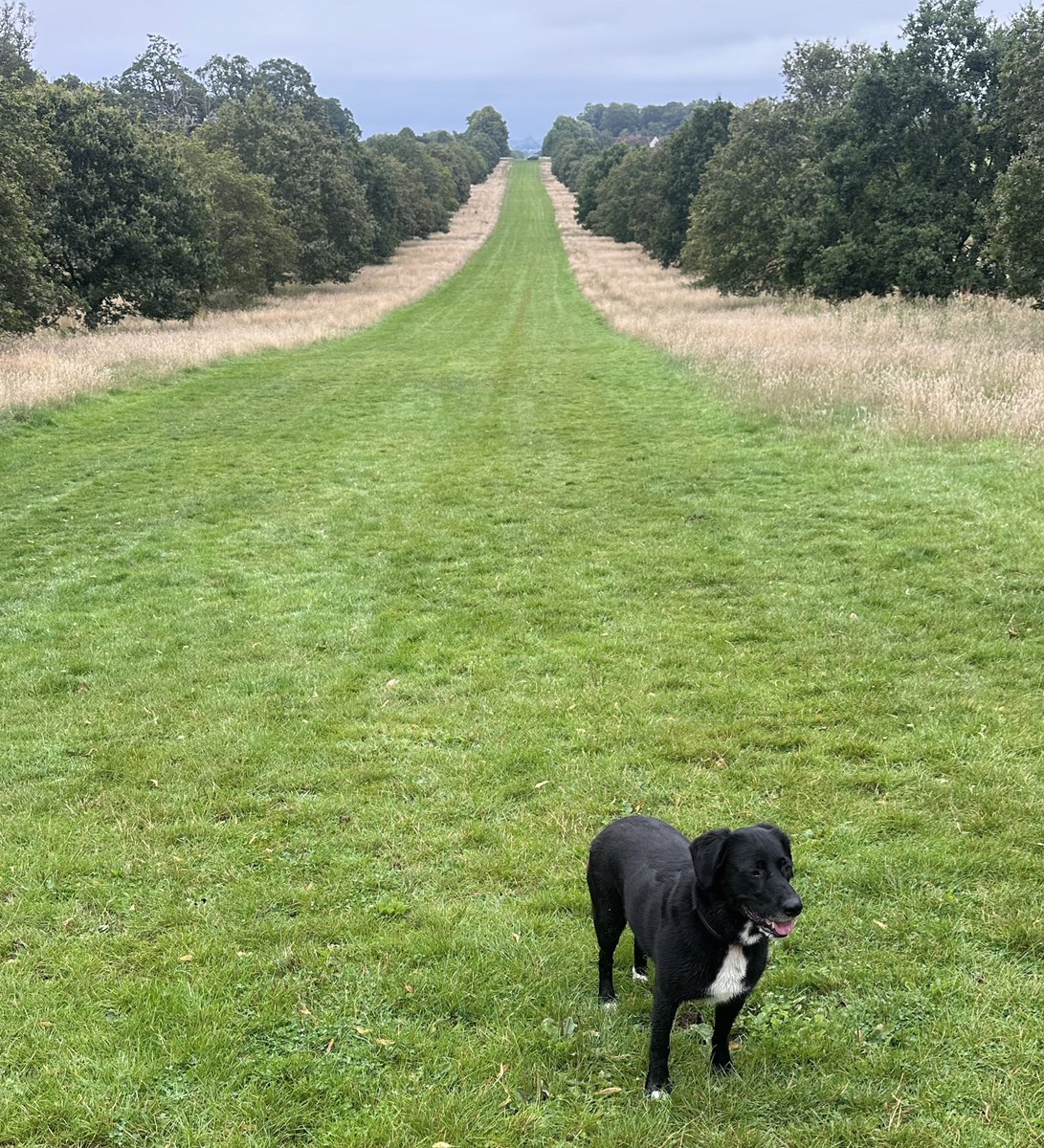 James Manwaring tweet media