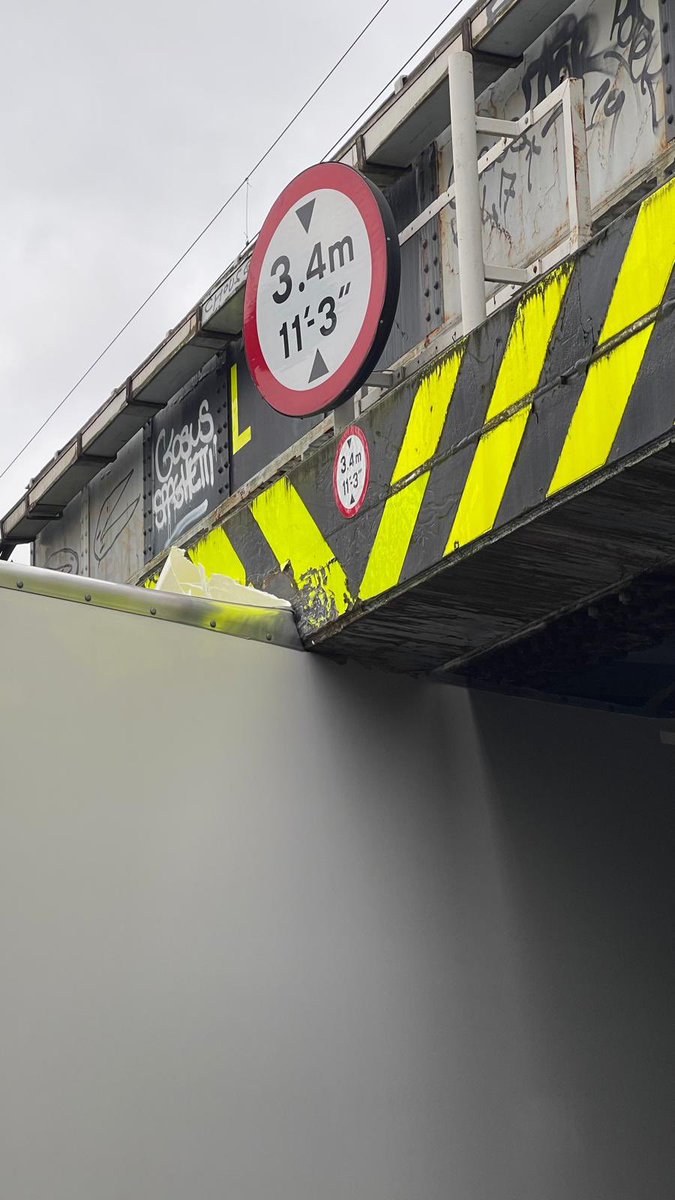 Sarah Sarah tweet media