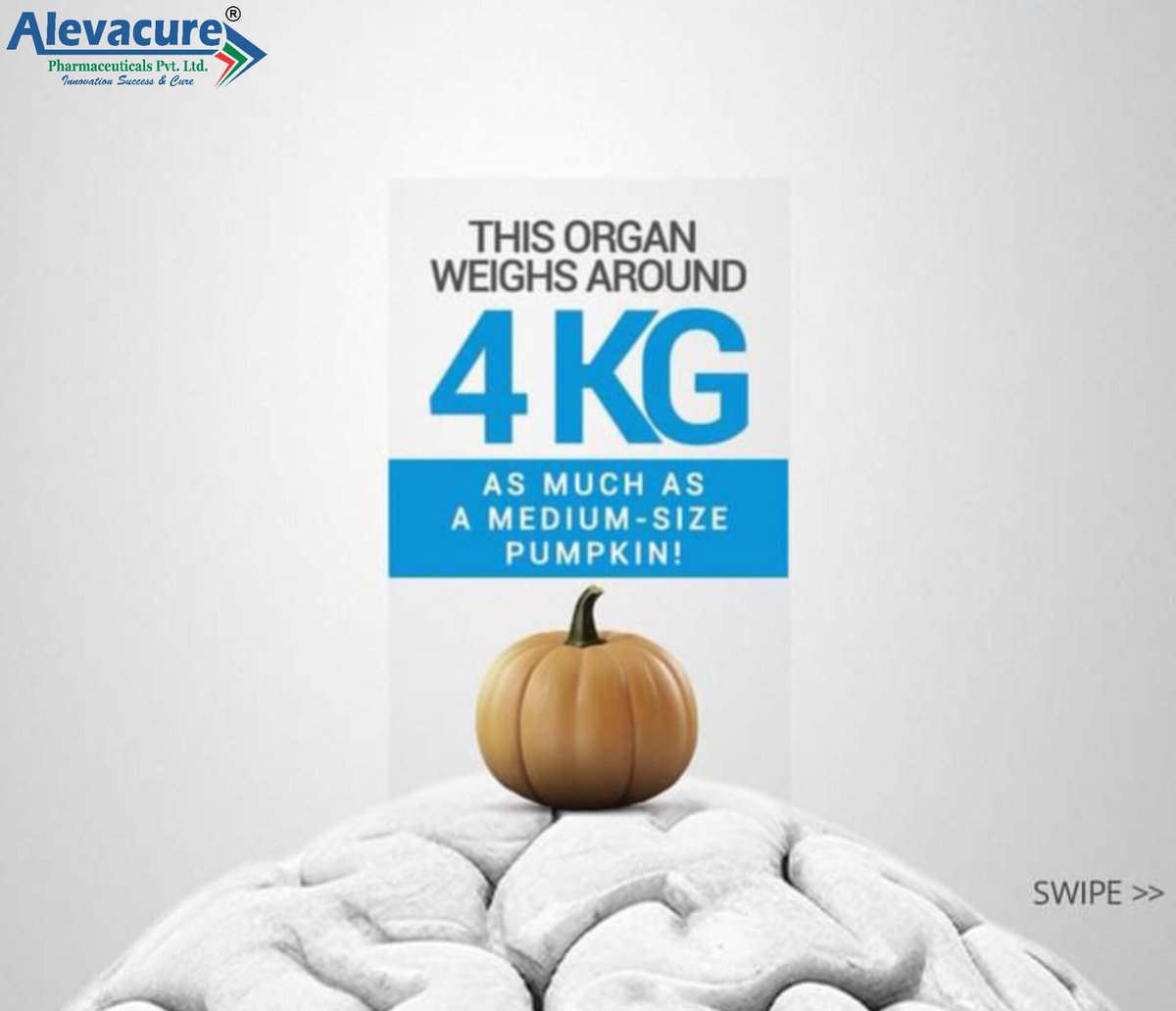 AlevacurePharma's tweet photo. If you guessed the organ, we salute your brainpower! Tell us in the comments which fact lead you to the right answer. 

#WorldBrainDay #Brain #Alevacure #ServingLife #HealthIsWealth #Alevacure_Pharmaceuticals #Healthcare #Pharma #Pharmaceutical #Health https://t.co/BjfO0iNgG6