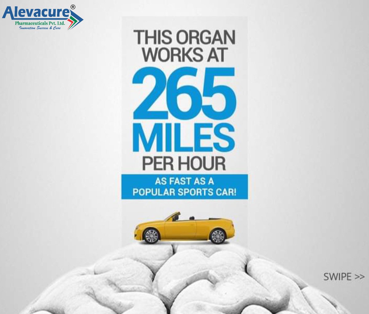 AlevacurePharma's tweet photo. If you guessed the organ, we salute your brainpower! Tell us in the comments which fact lead you to the right answer. 

#WorldBrainDay #Brain #Alevacure #ServingLife #HealthIsWealth #Alevacure_Pharmaceuticals #Healthcare #Pharma #Pharmaceutical #Health https://t.co/BjfO0iNgG6