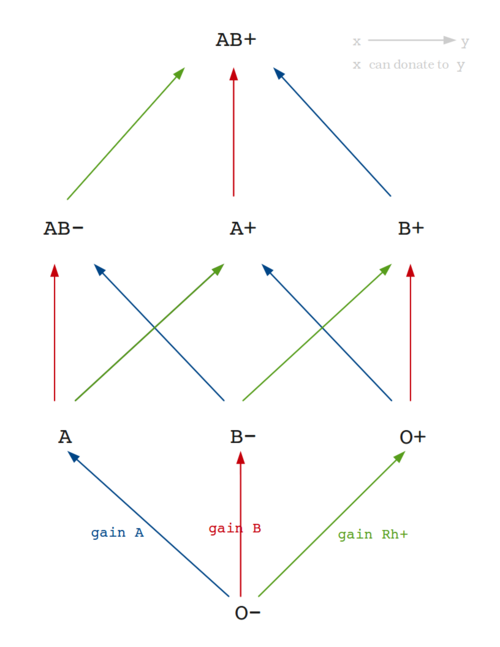 A recurring thought I have is that there’s a (deep?) isomorphism between relations among numbers and the relations in real world. Here’s what triggered it now. The blood type compatibility can be visualized as a poset: isomorphismes.wordpress.com/2011/05/02/blo…