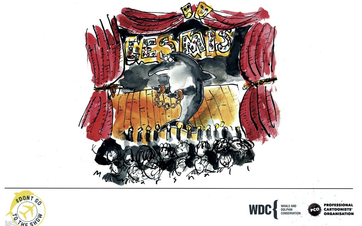 MarshallNotFunny tweet media