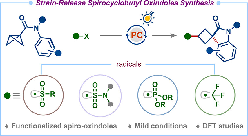 HariGroupIISc's tweet image. 🚀Our work on Strain-release radical cascade for the synthesis of spirocyclobutyl oxindoles, previously on @ChemRxiv , is now published in Organic Letters @JOC_OL . Thanks, @serbonline @iiscbangalore, for the funding. 🔗pubs.acs.org/doi/10.1021/ac…