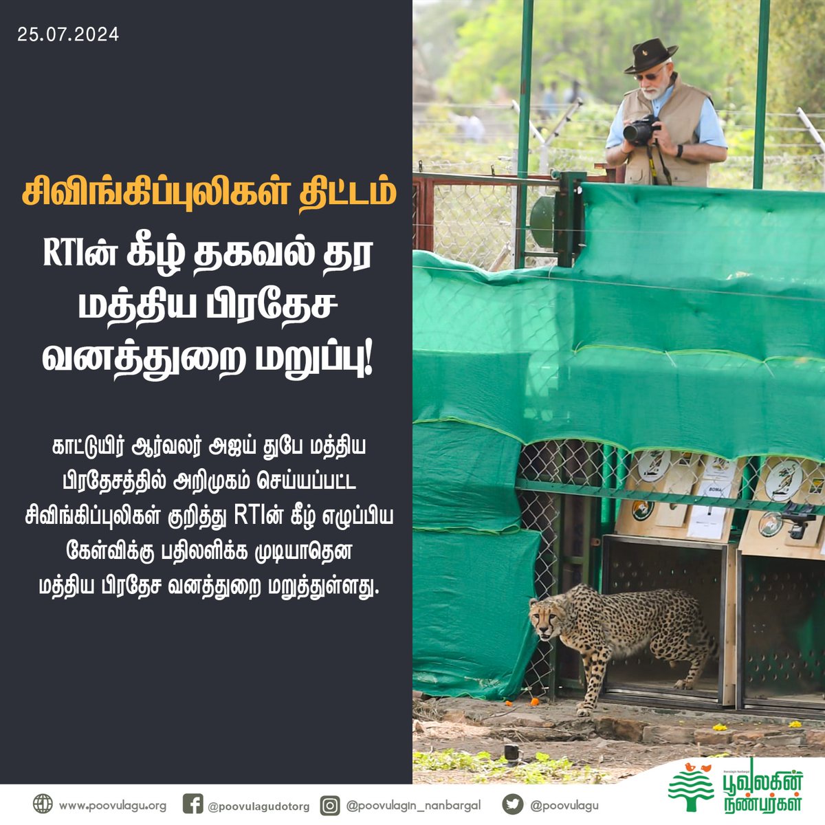 poovulagu's tweet photo. ⚠️
#cheetah #savecheetah #cheetahconservation #cheetaconservationproject #wildlife #madhyapradesh #forestdepartment #forestdepartmentmadhyapradesh #poovulaginnanbargal #poovulaguyouth #poovulagu #RTI https://t.co/6iugUftazJ