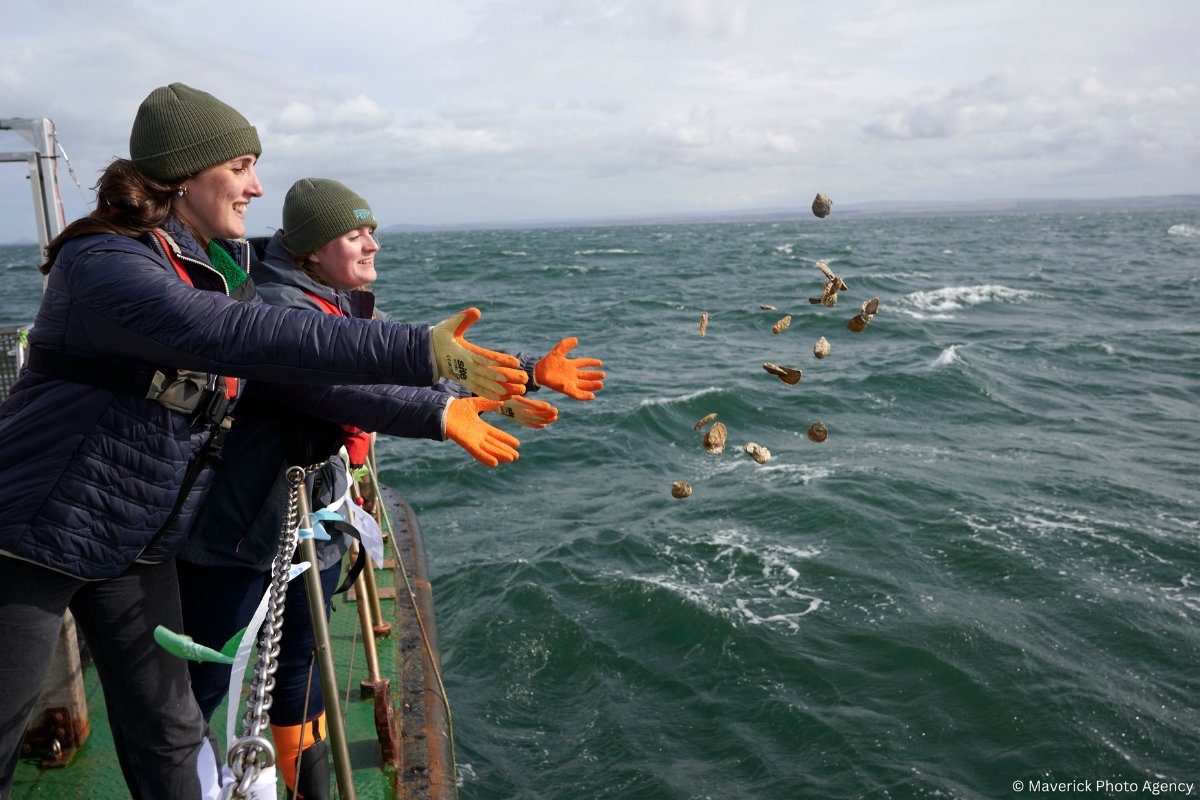 Projects like #RestorationForth can make a real difference to our natural world. 💚

Join us in calling on the Scottish Government to bring forward a #NaturalEnvironmentBill, which will empower communities and drive future restoration.

Learn more: scotlandlovesnature.scot/action