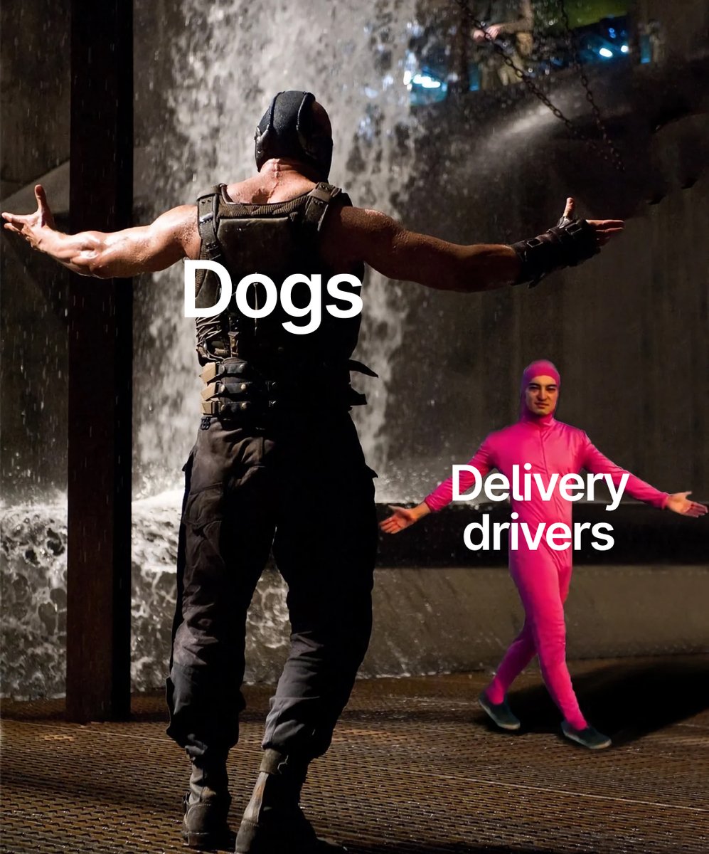 Packfleet (@packfleet) on Twitter photo 