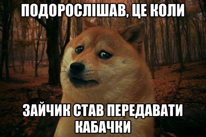 tymoshchenko's tweet photo. Меми про кабачки, тред:

Я просто зобовʼязана це зробити з поваги до гри в кабачок https://t.co/uzr4Fj2pRB