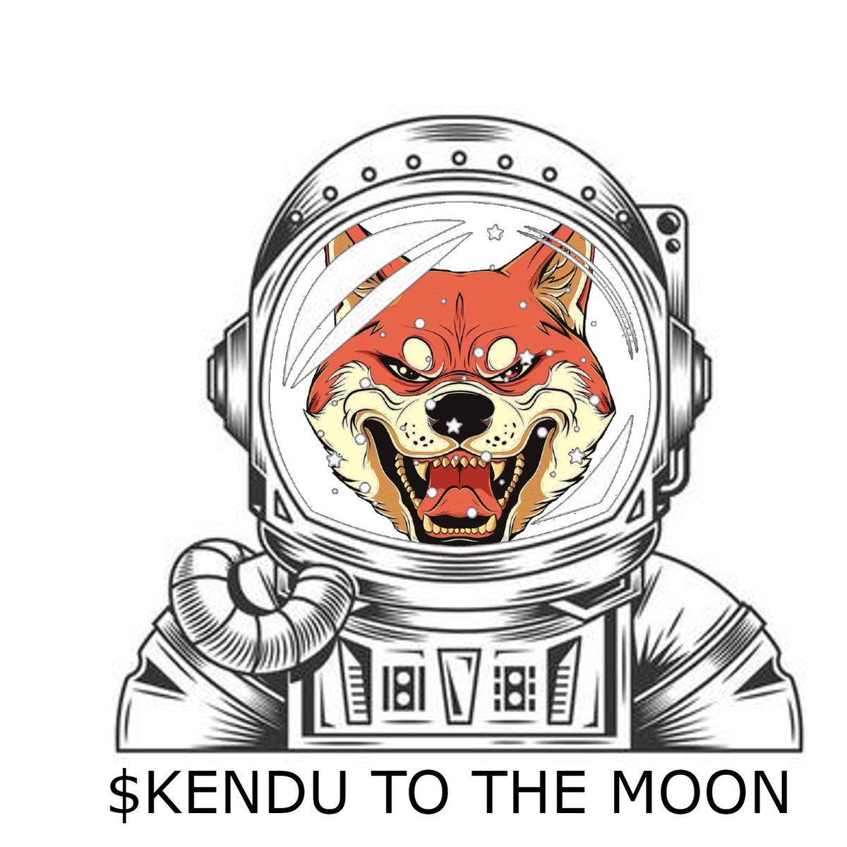 Celeri54333's tweet photo. $Kendu is going to the moon 💫💫 https://t.co/OduEJqeC7e