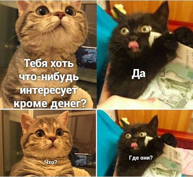 🐸жабья принцесса👑 (@kxiq7u7oc8nsgnc) on Twitter photo 