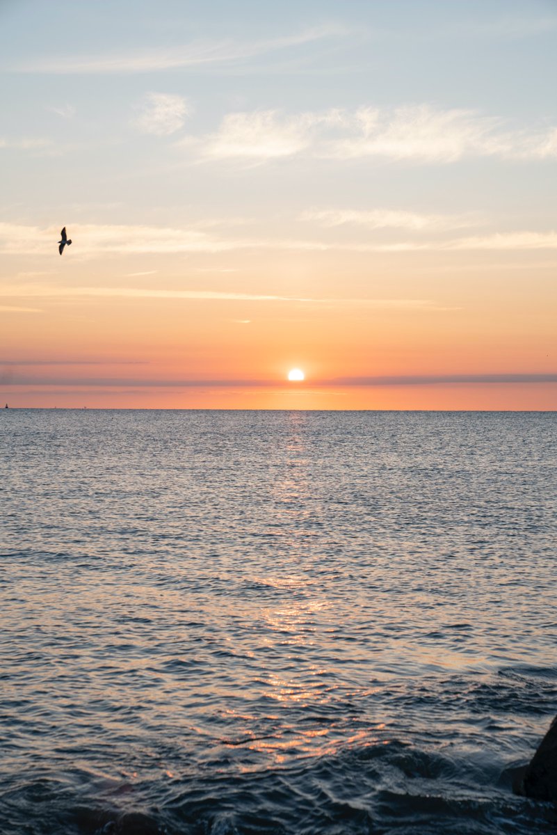 OrbisEnergy (@orbisenergy) on Twitter photo When it comes to a room with a view, there’s few locations that can beat this. 🌅
Visit orbisenergy.co.uk call 01502 563368 or contact our business development manager, <a href="/ian_pease/">Ian Pease</a>
#cleanenergy | #lowestoft | #innovation | <a href="/vertas/">Tatjana PO</a> | <a href="/suffolkcc/">Suffolk CC</a> When it comes to a room with a view, there’s few locations that can beat this. 🌅
Visit orbisenergy.co.uk call 01502 563368 or contact our business development manager, <a href="/ian_pease/">Ian Pease</a>
#cleanenergy | #lowestoft | #innovation | <a href="/vertas/">Tatjana PO</a> | <a href="/suffolkcc/">Suffolk CC</a>