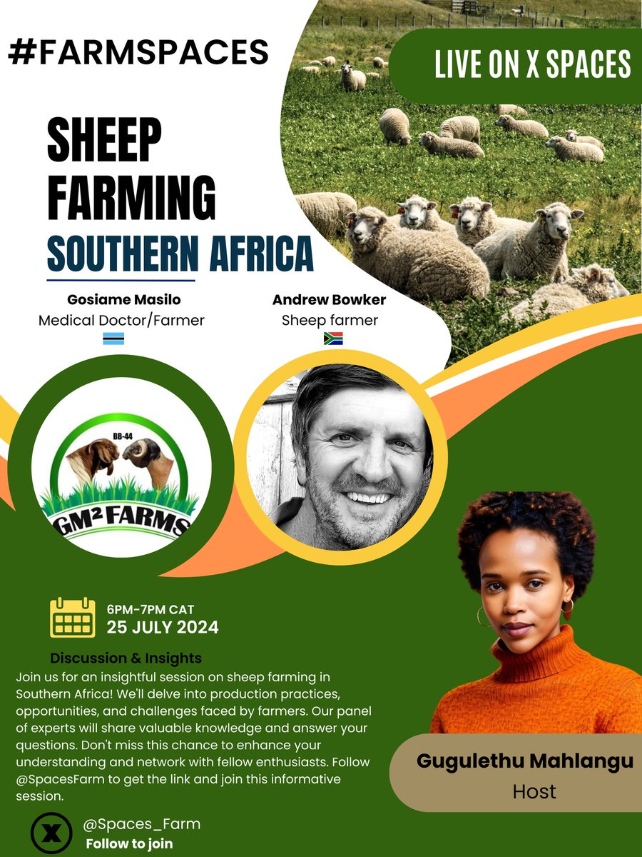 Tonight's the night we turn to #sheepfarming experts to tell share their knowledge on the wool givers!

Join us tonight at 6PM CAT

The link is here: x.com/i/spaces/1YpJk…

Cc <a href="/FarmsGm2/">GM² Farms</a> <a href="/reedsdale1978/">reedsdale</a>