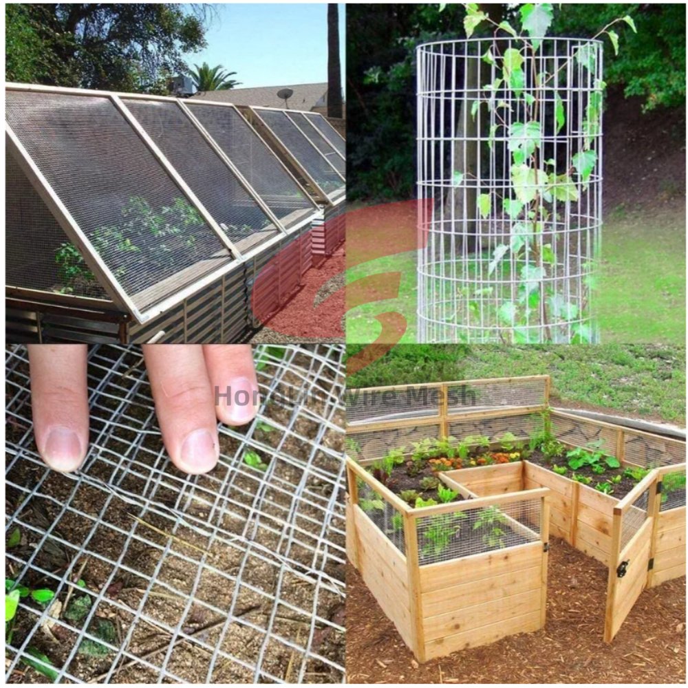 YangEileen53830's tweet image. The price of the PVC Coated wire mesh is reduced, welcome to inquiryWhatsAppt:0086 19003212410
Email:honglin@wirenetting.com.cn
#wiremesh #weldedwiremesh #PVCcoatedwiremesh #fence
 Chiefly used in industry, agriculture,, construction, express highway,railway, garden fencing