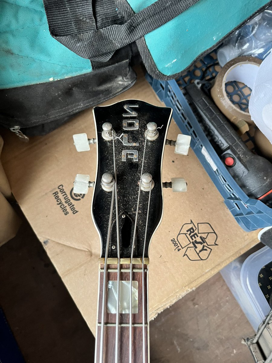 Has anyone seen/had one of these before? Italian Sola/Solasound(?) bass