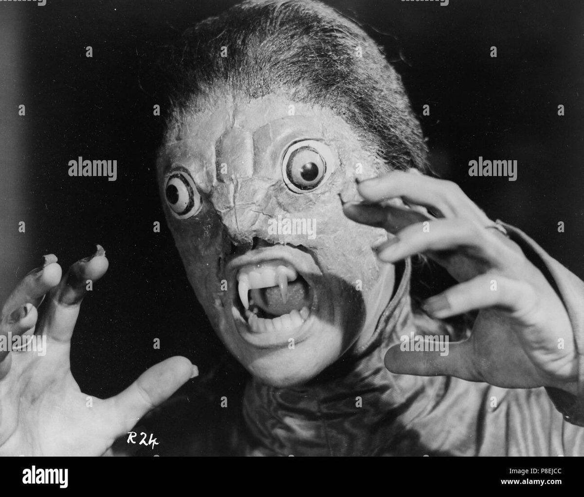 Marc Riley ⚽️🍺🐳 tweet media