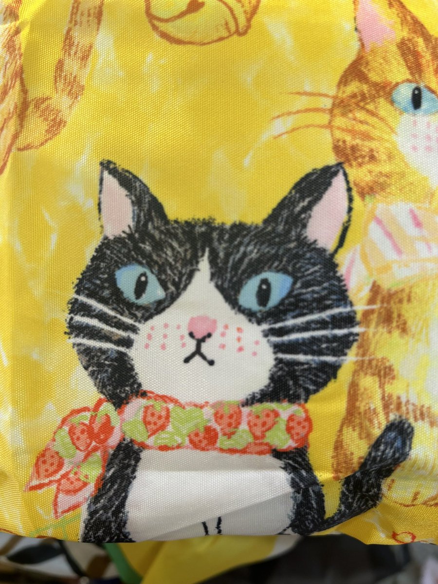 Gm Cats friends, what will be the trend for today ? 
Say Gm back